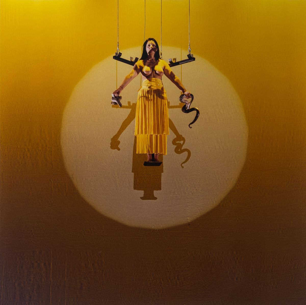 Marina Abramović - The Biography