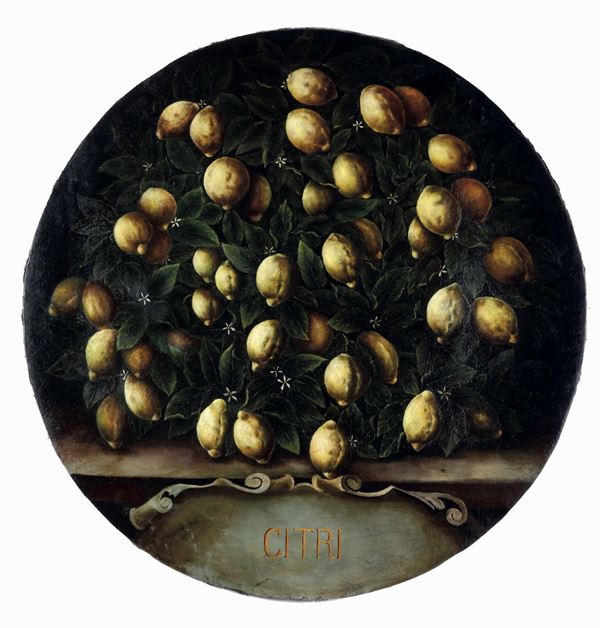 Bartolomeo Bimbi - Nature morte con limoni e arance