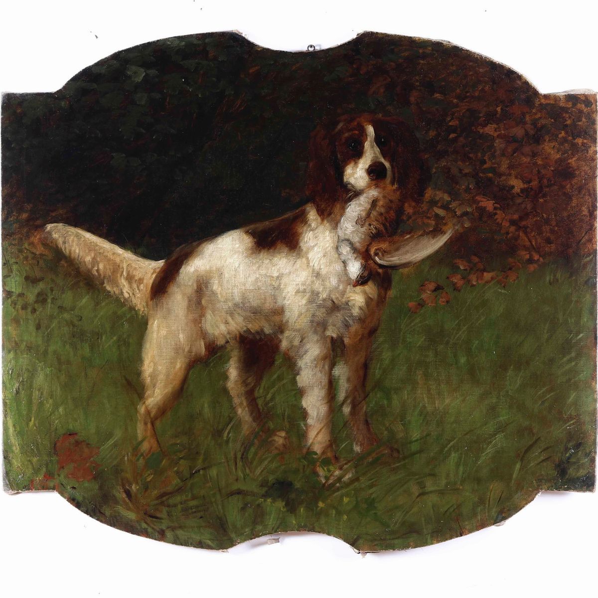 Scuola del XIX Secolo Cani da Caccia
