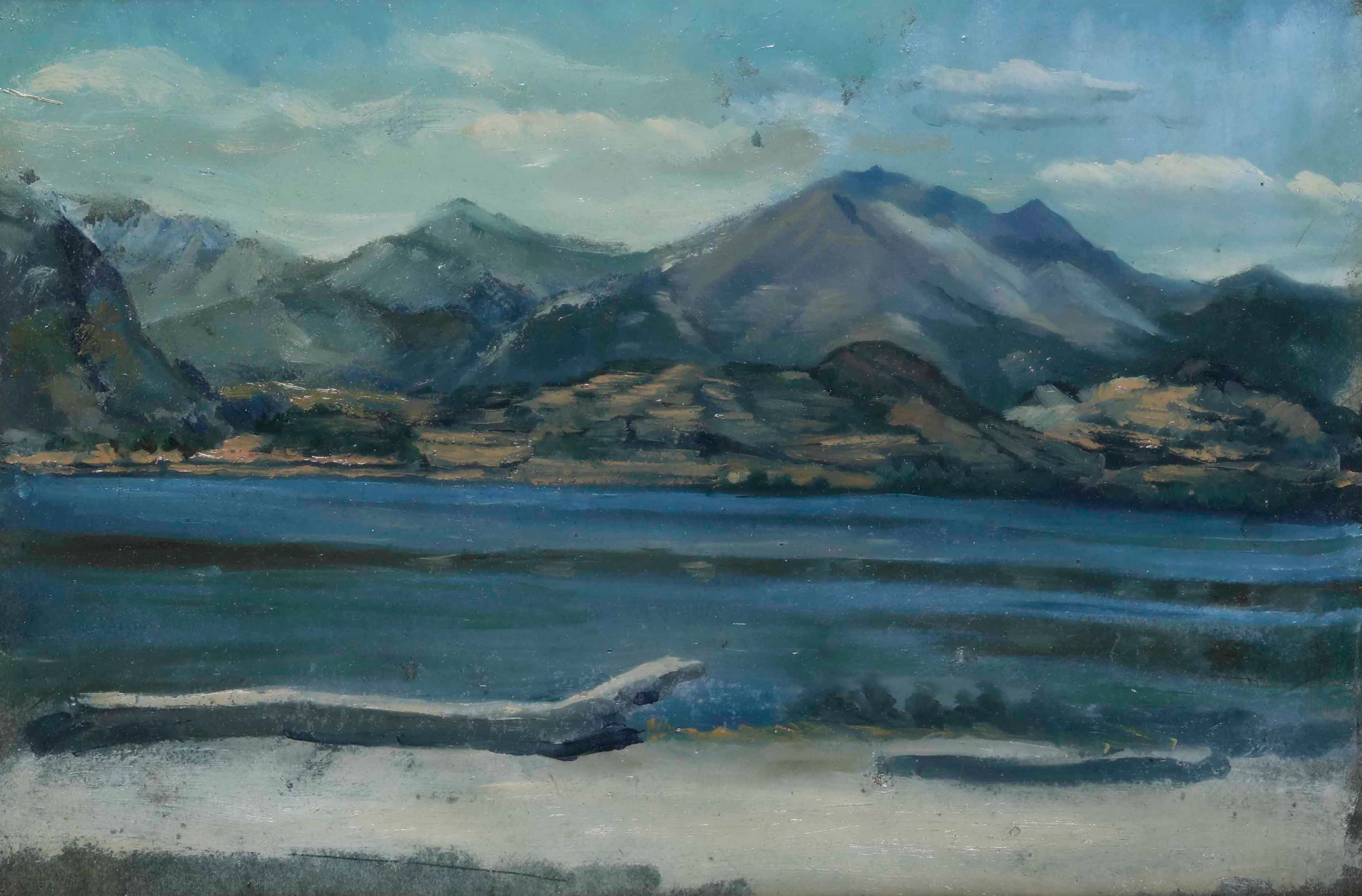 Pittore del XX secolo, Paesaggio lacustre, olio su tela