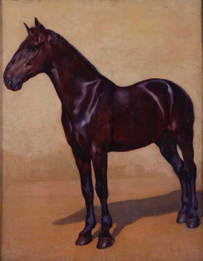 Cavallo Scuro