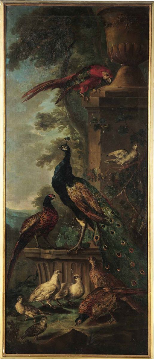 Angelo Maria Crivelli detto il Crivellone - Veduta di giardino con pavone, pappagallo e altri volatili