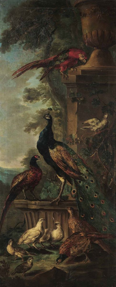 Angelo Maria Crivelli Detto il Crivellone - Veduta di Giardino con Pavone, Pappagallo e Altri Vol...