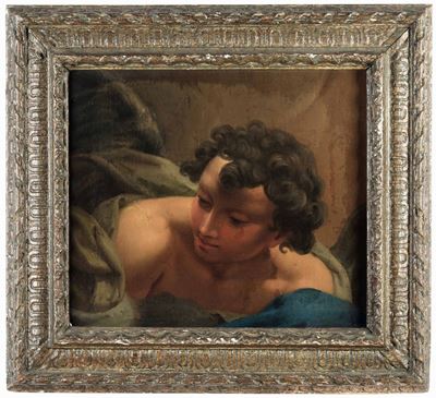 Scuola del XVII Secolo Testa D'angelo