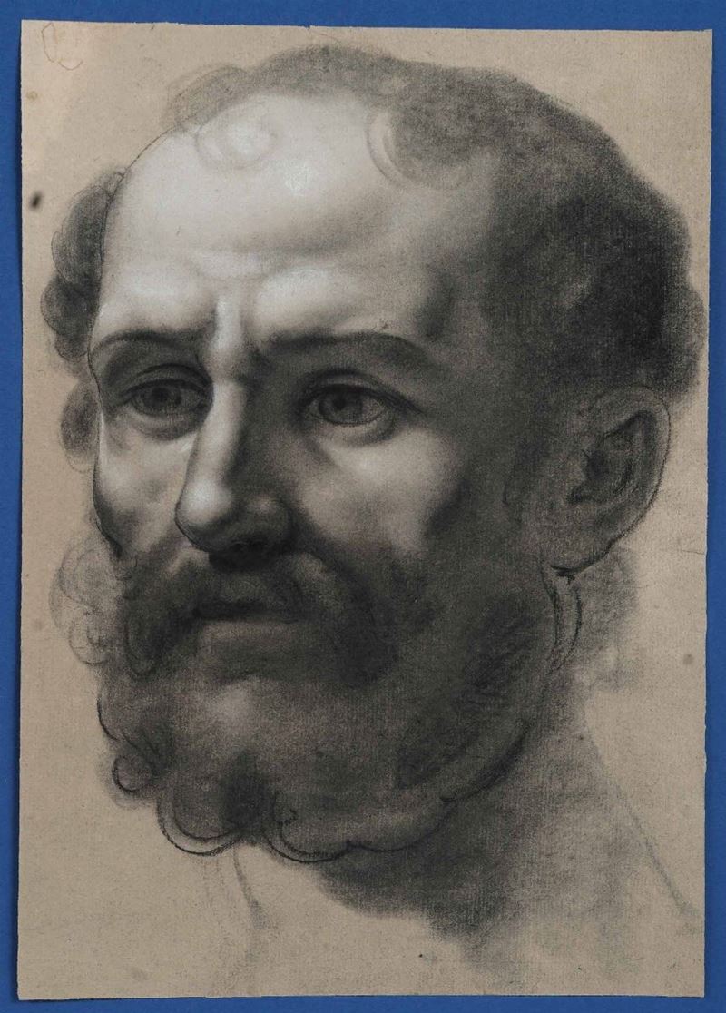 Pietro Fancelli : Testa virile  - matita nera e bianca su carta - Auction Drawings - II - Cambi Casa d'Aste