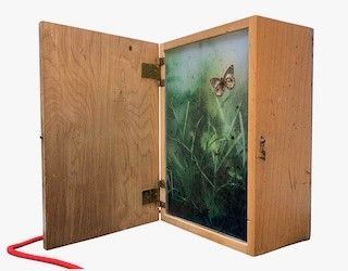 Light “vintage” Box With Butterflies - Out Of The Box XII, 2020