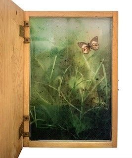 Caroline Gavazzi - Light “vintage” Box With Butterflies - Out Of The Box XII, 2020