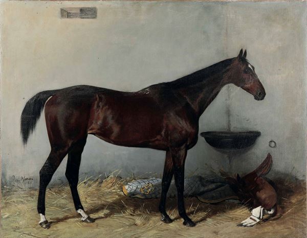 Julius Von Blaas (Albano 1845 - Albano 1923) Cavallo
