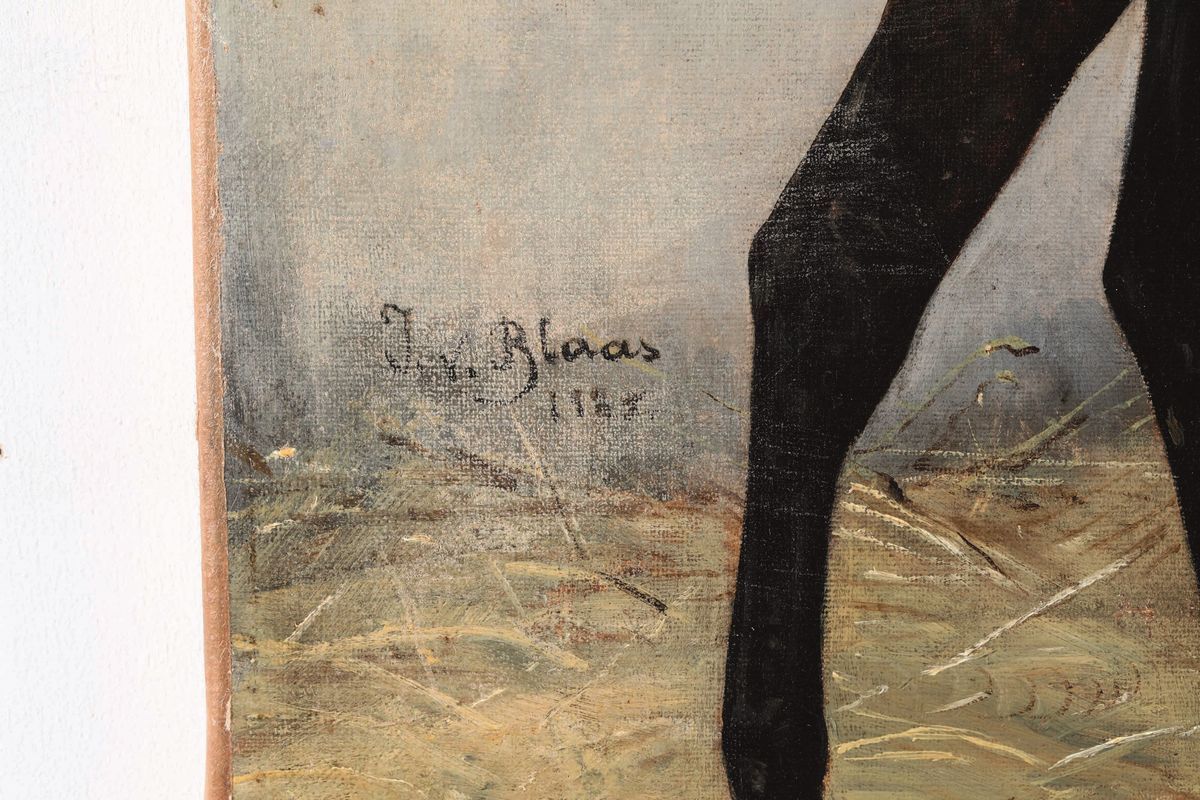Julius Von Blaas (albano 1845 - Albano 1923) Cavallo