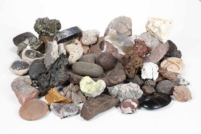 Collezione di Minerali