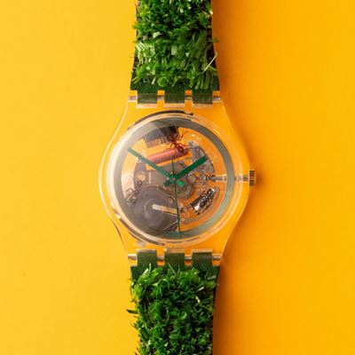 Swatch Garden Turf Skz103 1997