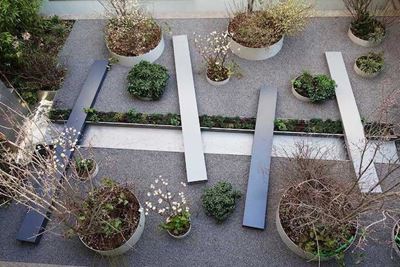 Consulenza per la Piantumazione di un Terrazzo a Milano