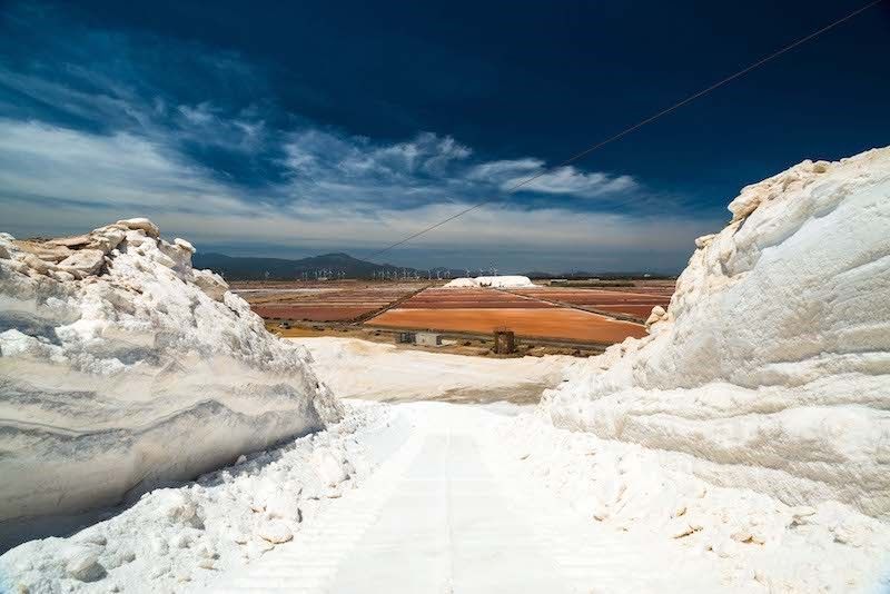 Visita Esclusiva alle Saline Conti Vecchi, Assemini (ca)fai - Fondo per L'ambiente Italiano