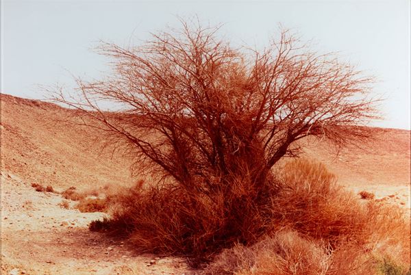 Light of the dark no. 1