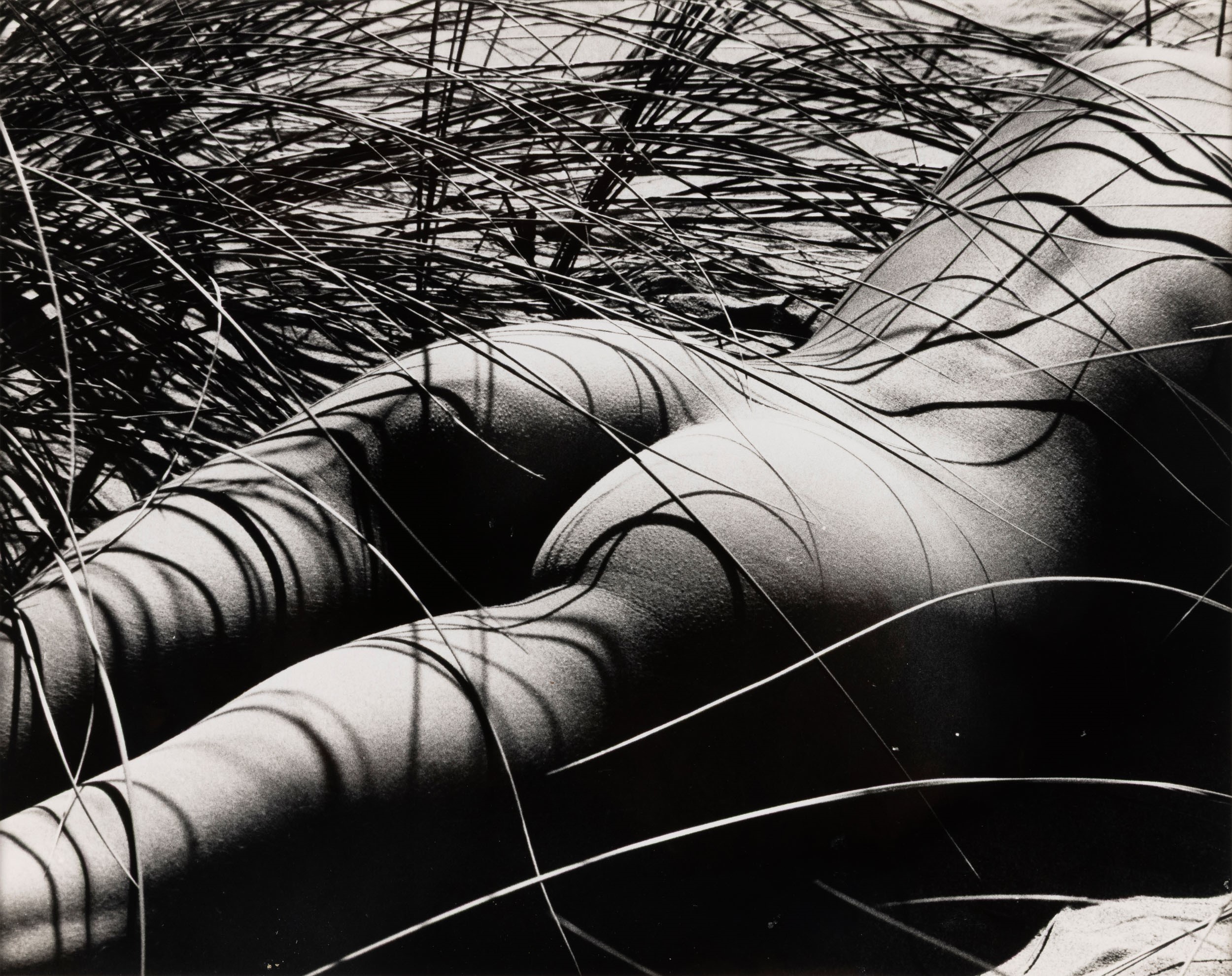 Lucien Clergue - Nu Feminin