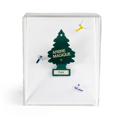 Sciarbre - tecnica mista e collage in teca di plexiglas