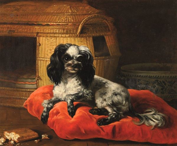 Ritratto di cane su cuscino rosso