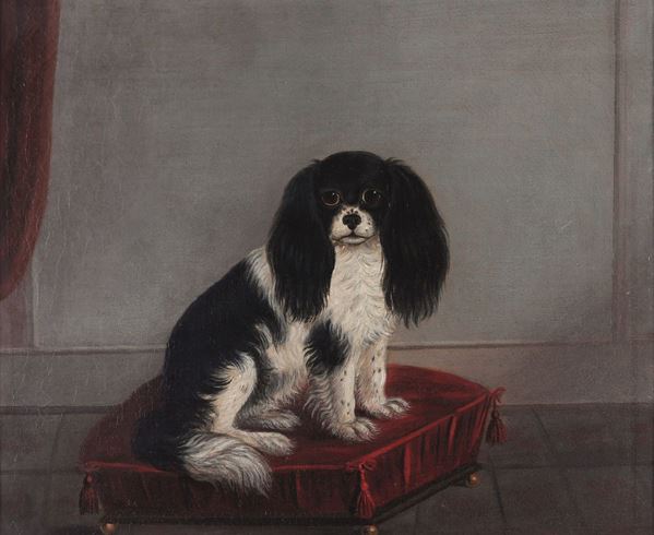 Scuola del XIX secolo Ritratto di cane su cuscino rosso