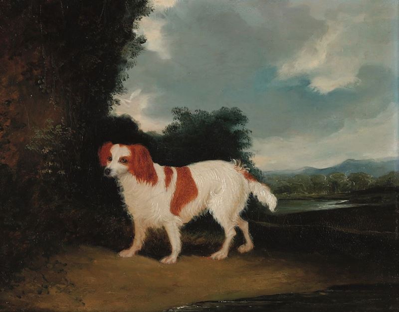 Scuola del XIX secolo Ritratto di cane nel parco  - olio su tela - Auction Old Masters - III - Cambi Casa d'Aste