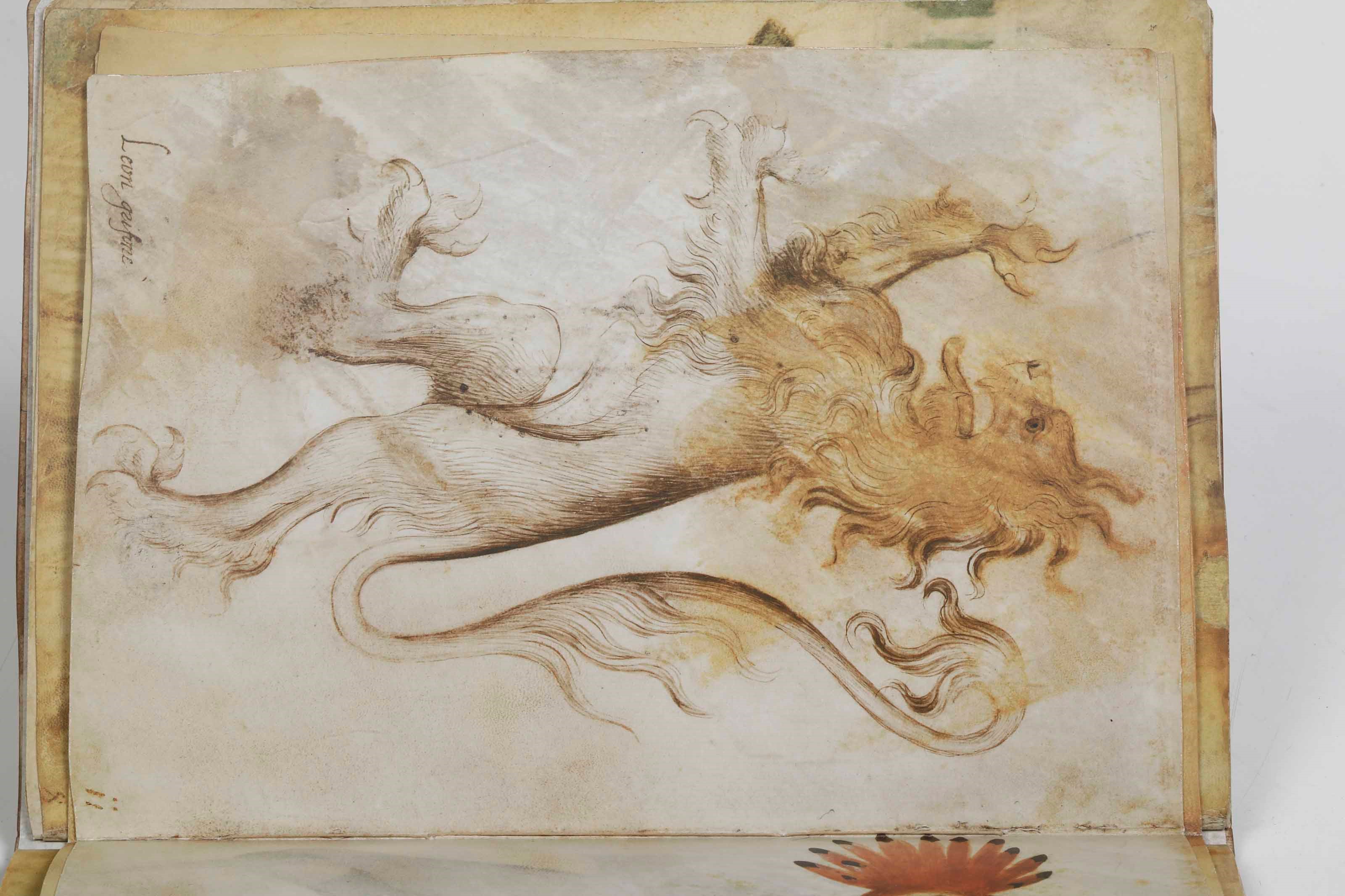 De Grassi, Giovannino, Taccuino di disegni – Edizione anastatica con commentario