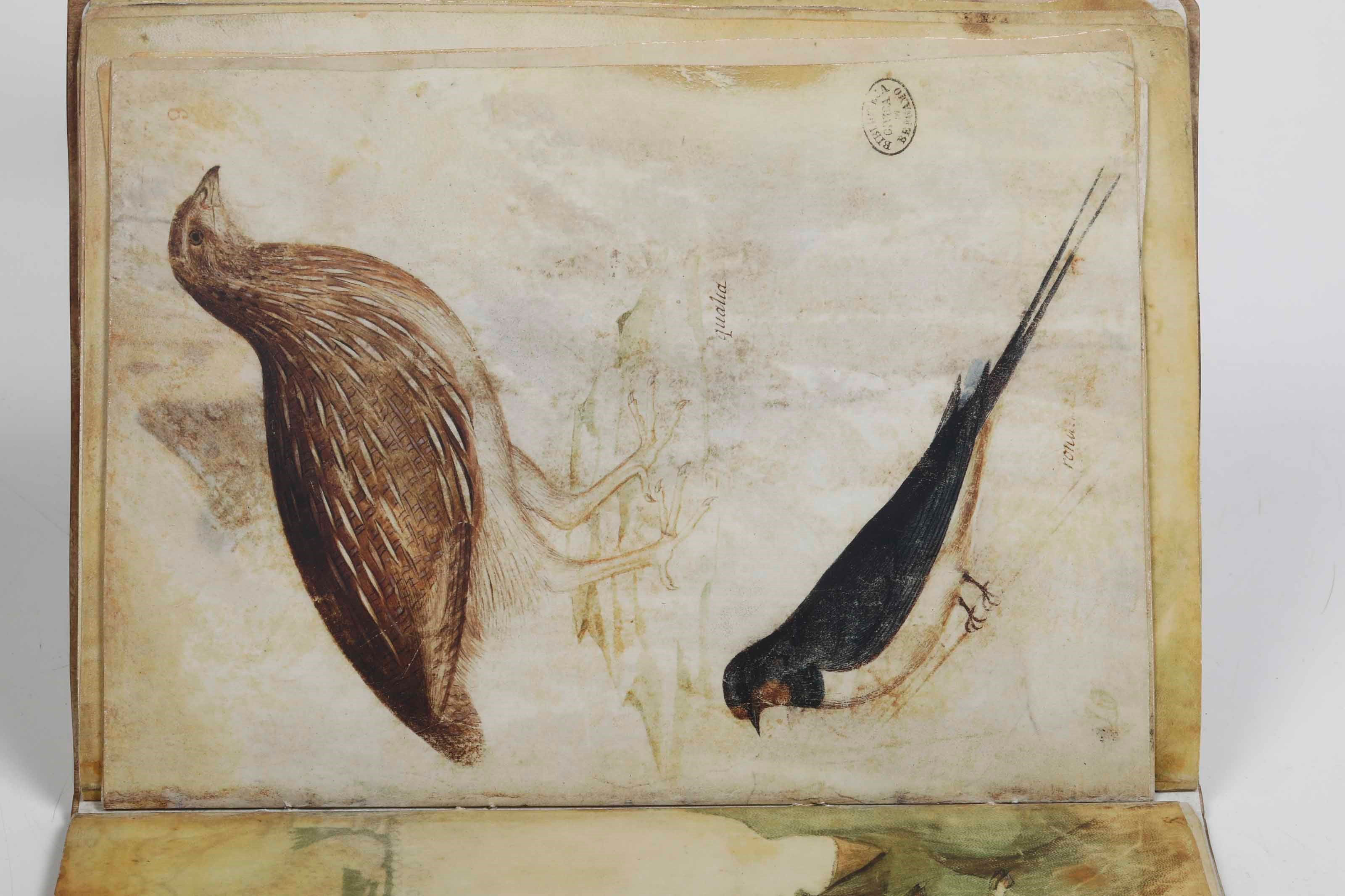 De Grassi, Giovannino, Taccuino di disegni – Edizione anastatica con commentario