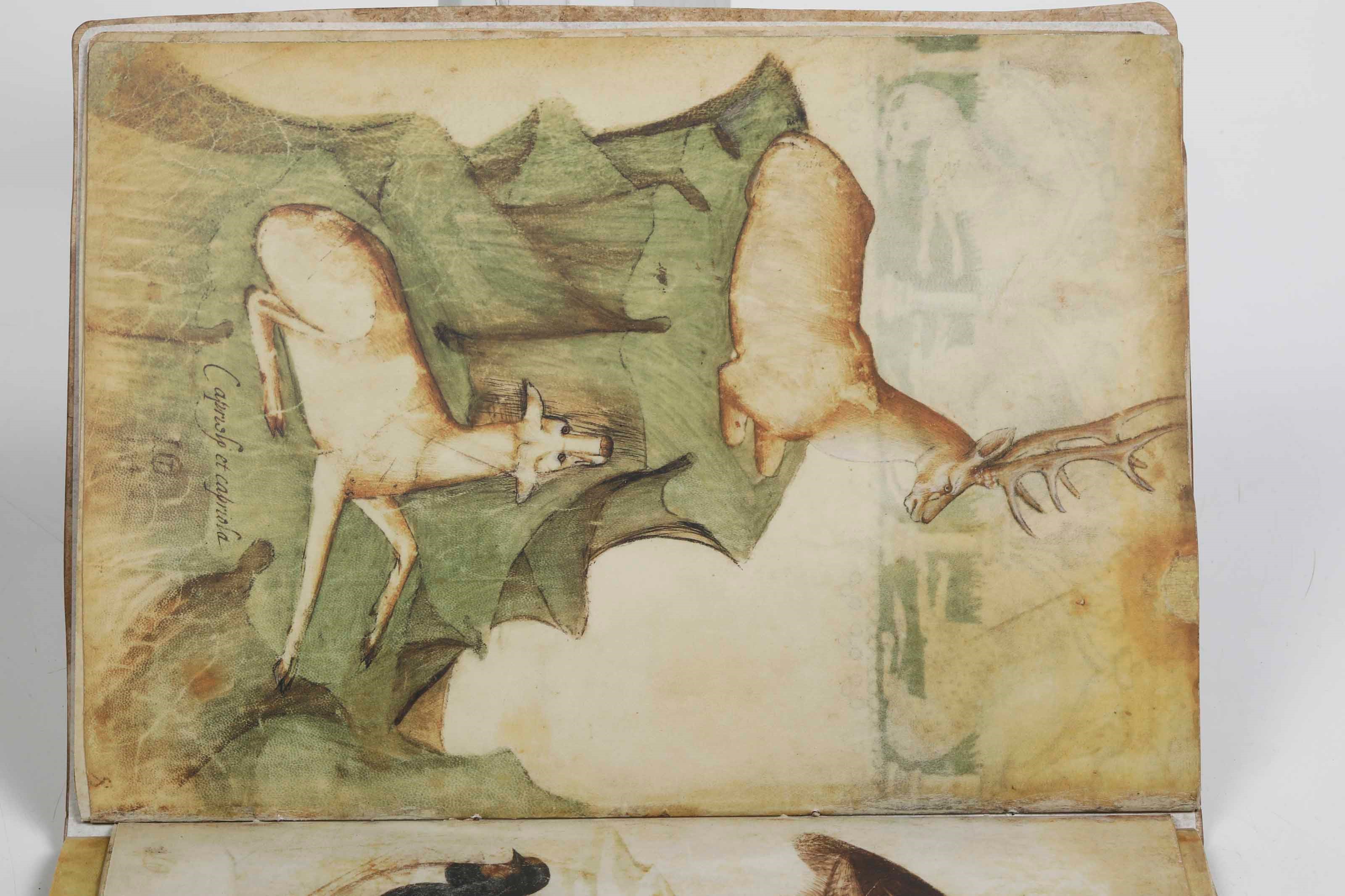 De Grassi, Giovannino, Taccuino di disegni – Edizione anastatica con commentario