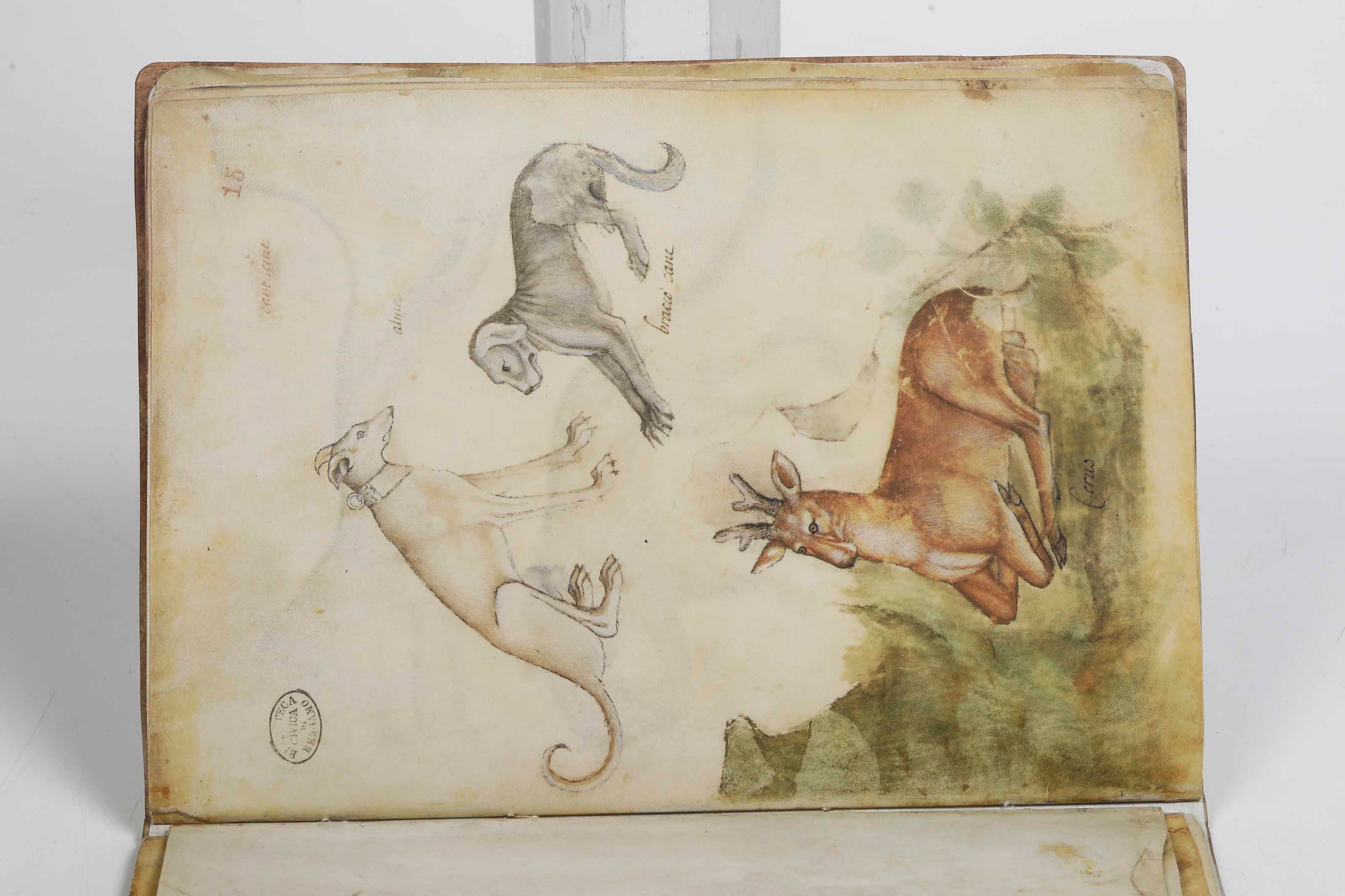 De Grassi, Giovannino, Taccuino di disegni – Edizione anastatica con commentario