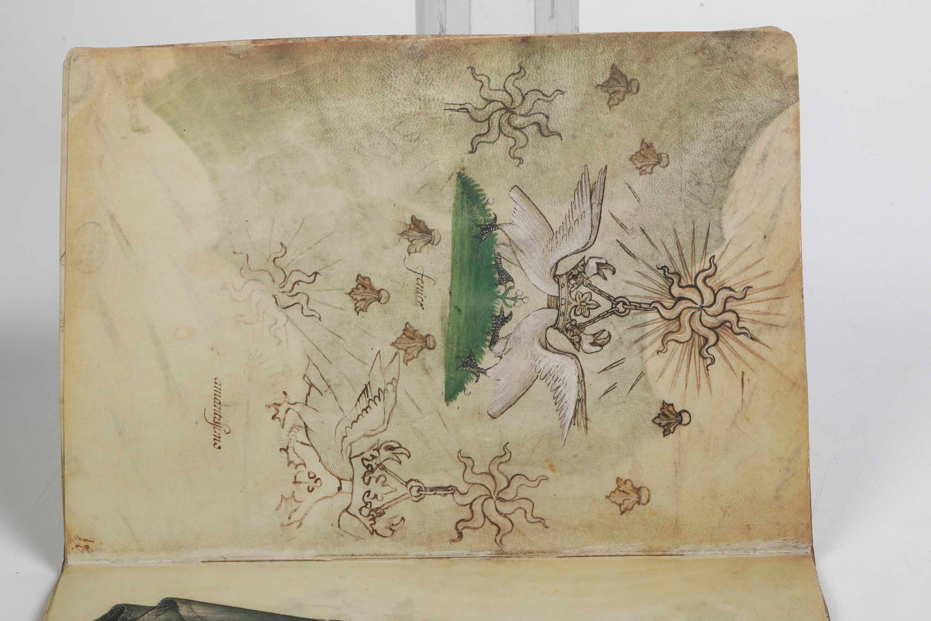 De Grassi, Giovannino, Taccuino di disegni – Edizione anastatica con commentario