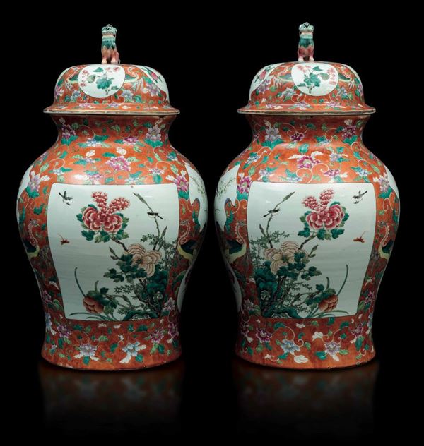Coppia di grandi potiches in porcellana con soggetti naturalistici entro riserve su fondo arancio, Cina, Dinastia Qing, XIX secolo