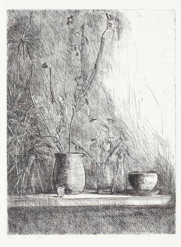 Senza titolo (Natura morta)