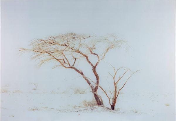 Light of the dark no. 4