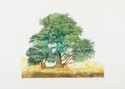 Albero