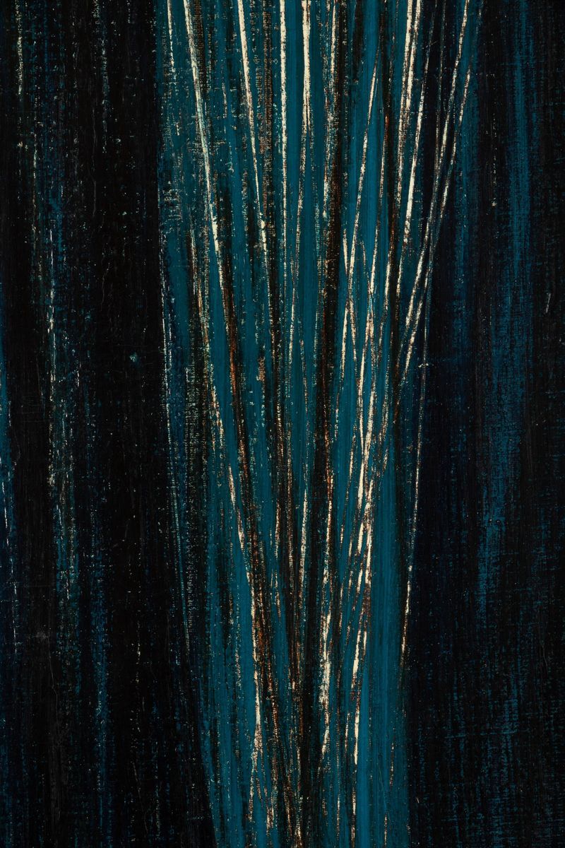 Hans Hartung - T1961-h20