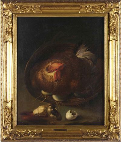 Gallina con Pulcini