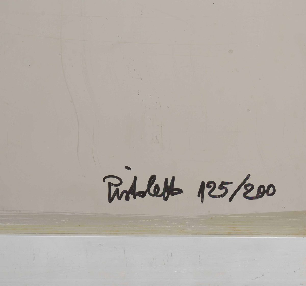 Michelangelo Pistoletto - Scimmia in Gabbia