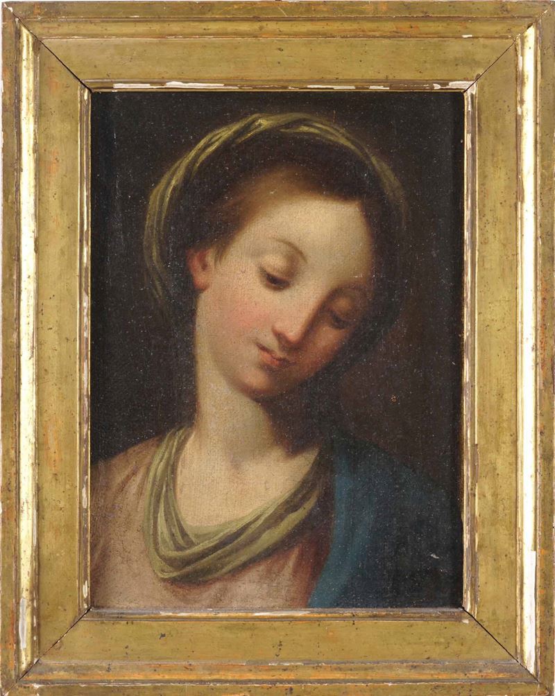 Antonio Allegri detto il Correggio : Madonna  - olio su tela - Asta Dipinti Antichi - Cambi Casa d'Aste