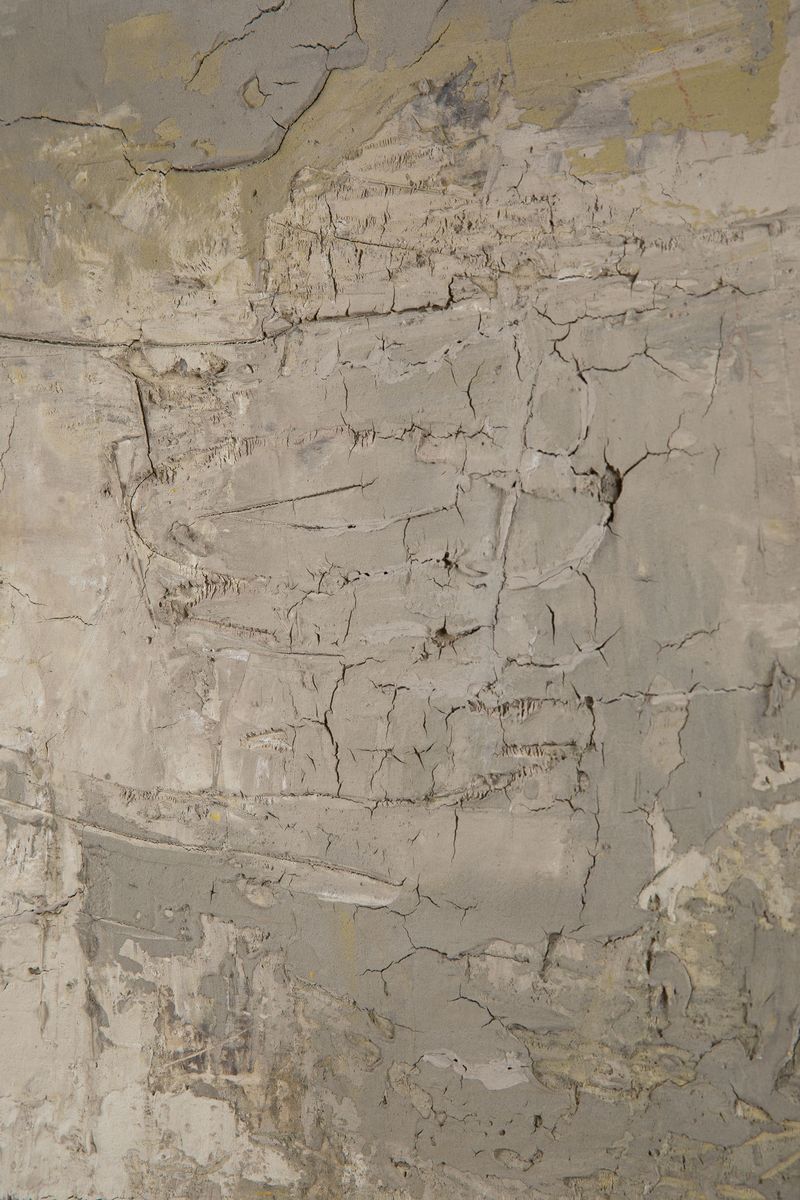 Mario Bionda - Palude N.7