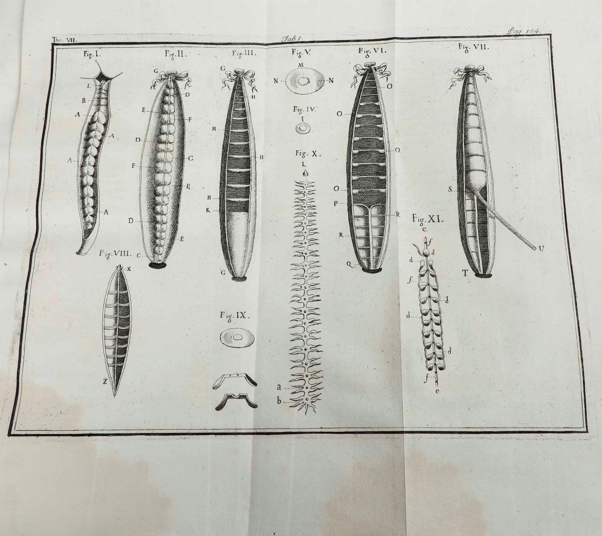 Classici - Autori Vari - De Bononiesi Scientiarum Et Artium Instituto Atque Academia Commentari, ...