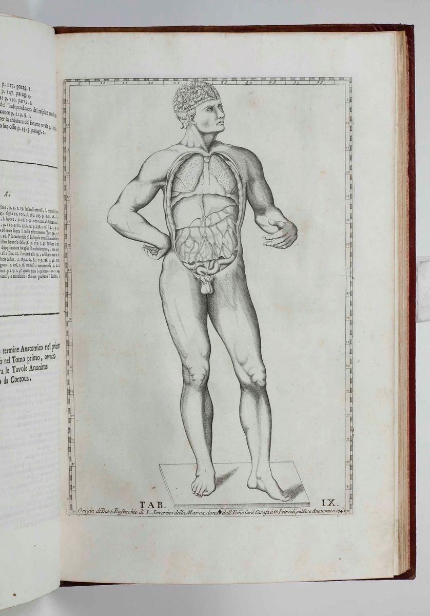 Gaetano Petrioli - Riflessioni Anatomiche sulle Note di Monsignor Gio Maria Lancisi Fatte Sopra l...