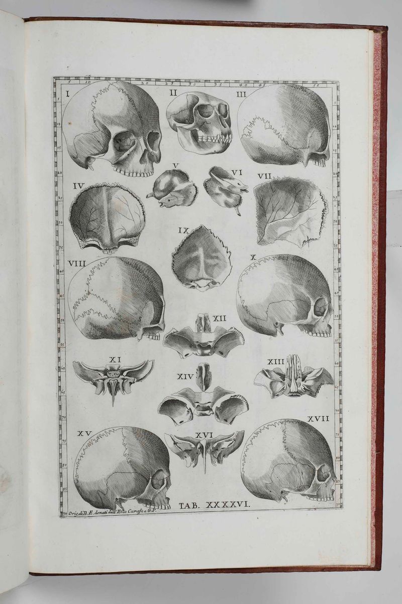 Gaetano Petrioli - Riflessioni Anatomiche sulle Note di Monsignor Gio Maria Lancisi Fatte Sopra l...