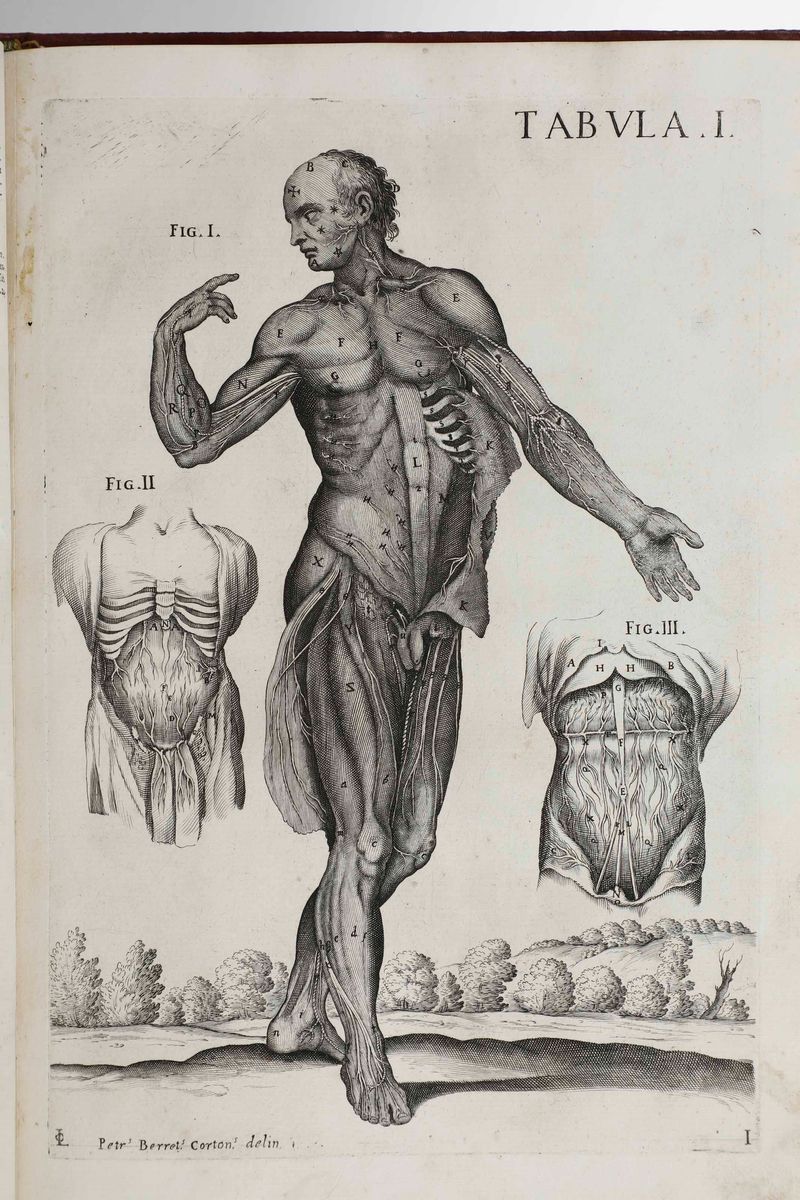 Gaetano Petrioli - Petro Berrettino Cortonensi - Tabulae Anatomicae a Celeberrimo Pictore Petro B...