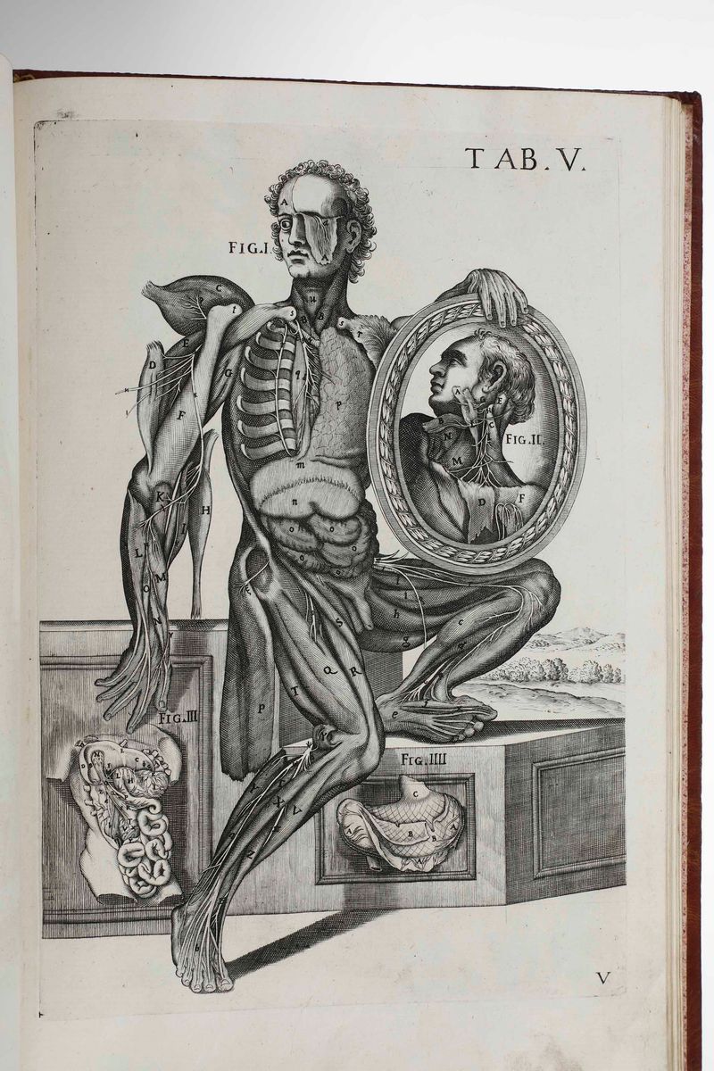 Gaetano Petrioli - Petro Berrettino Cortonensi - Tabulae Anatomicae a Celeberrimo Pictore Petro B...