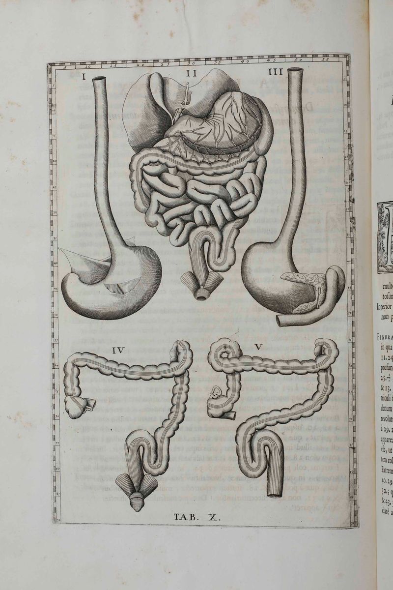 Bartolomeo Eustacchio Tabulæ Anatomicæ Clarissimi Viri... Ex Officina Typographyca Francisci Gonz...