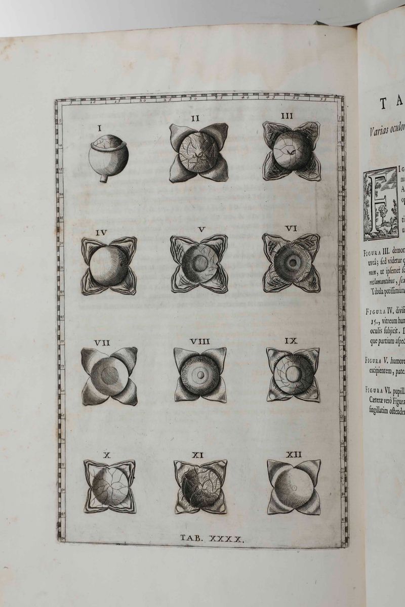 Bartolomeo Eustacchio Tabulæ Anatomicæ Clarissimi Viri... Ex Officina Typographyca Francisci Gonz...