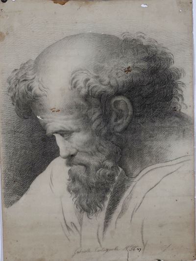 Figura Virile Barbuta