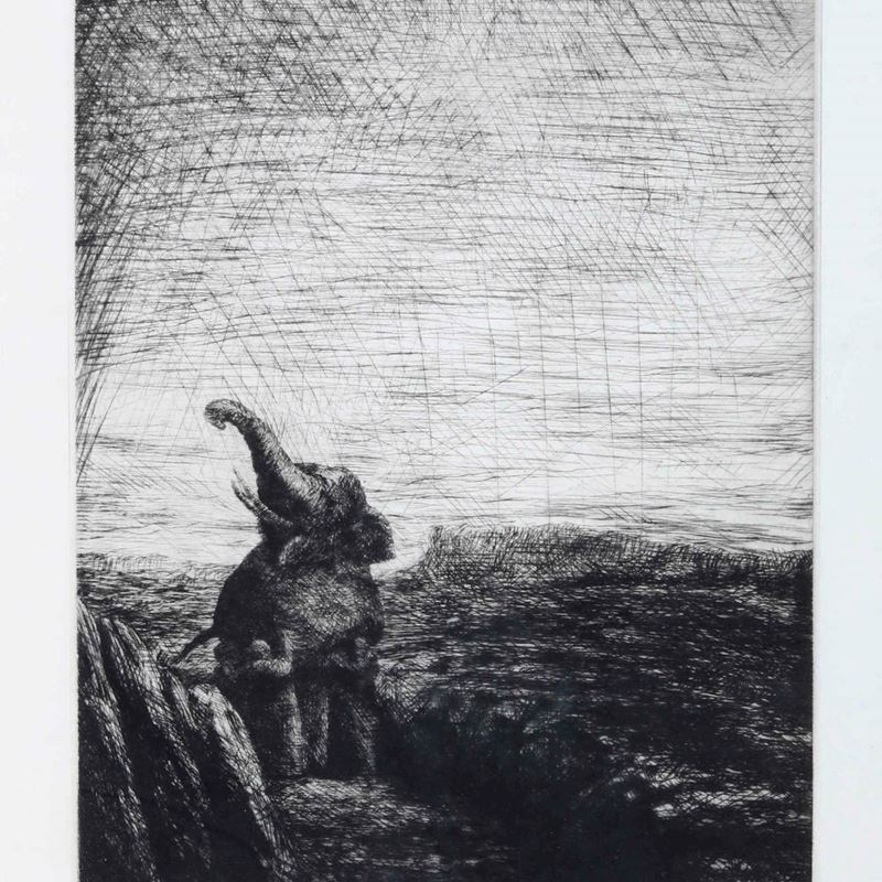 O. Olivier Olivier - Senza Titolo (elefante)