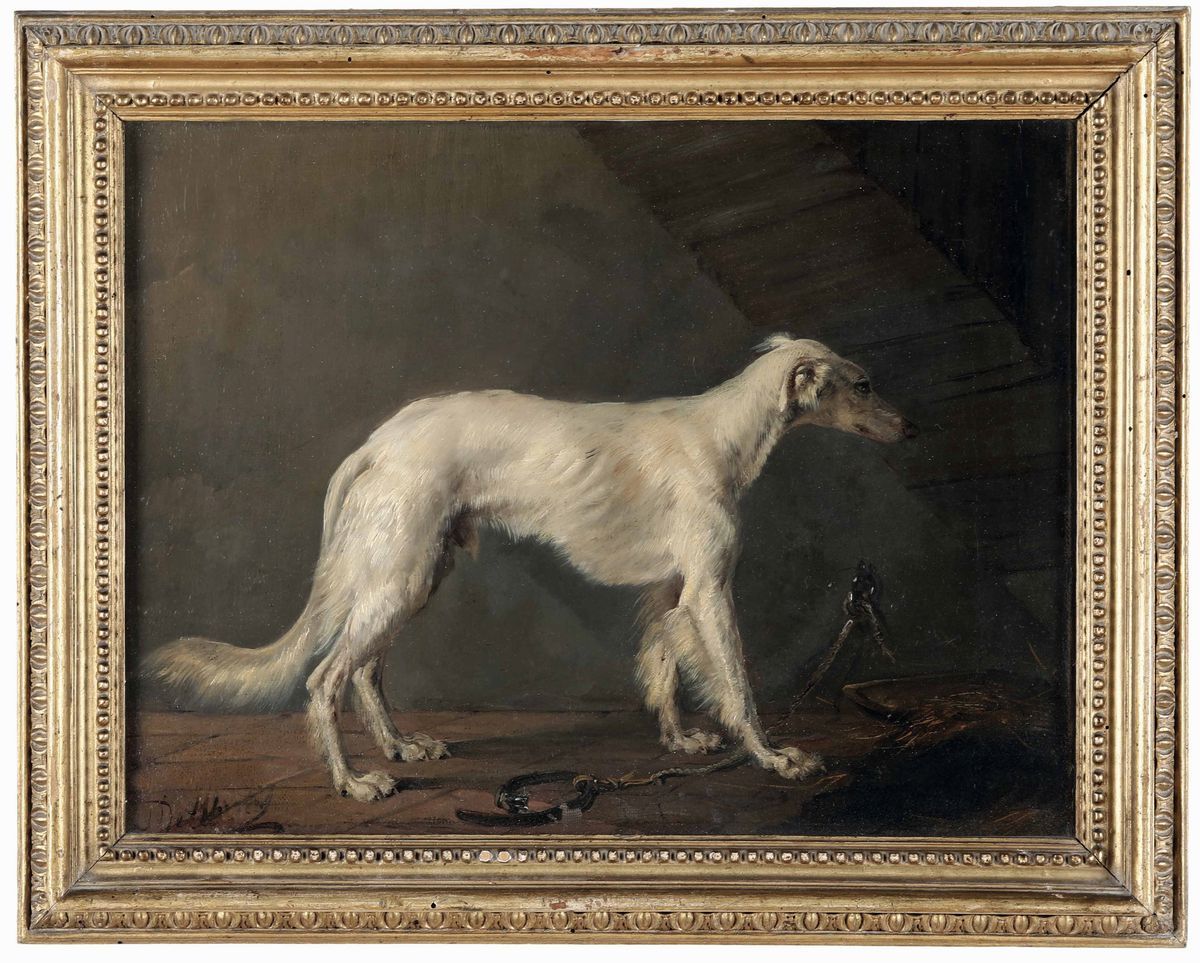 De Albertis Cani