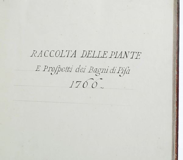 Raccolta delle piante e prospetti dei Bagni di Pisa, 1766