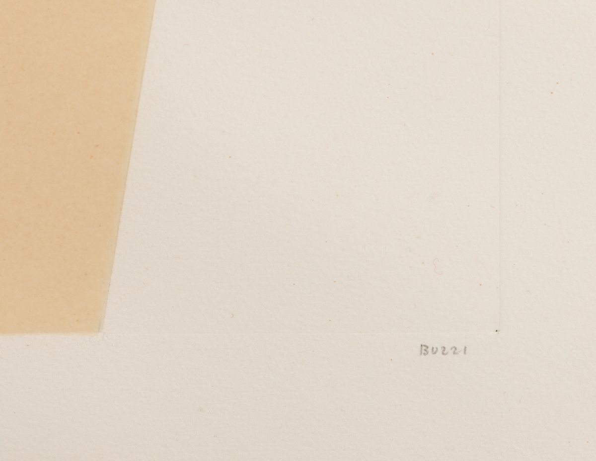 Alberto Burri - Bianchi e Neri i Tav. C