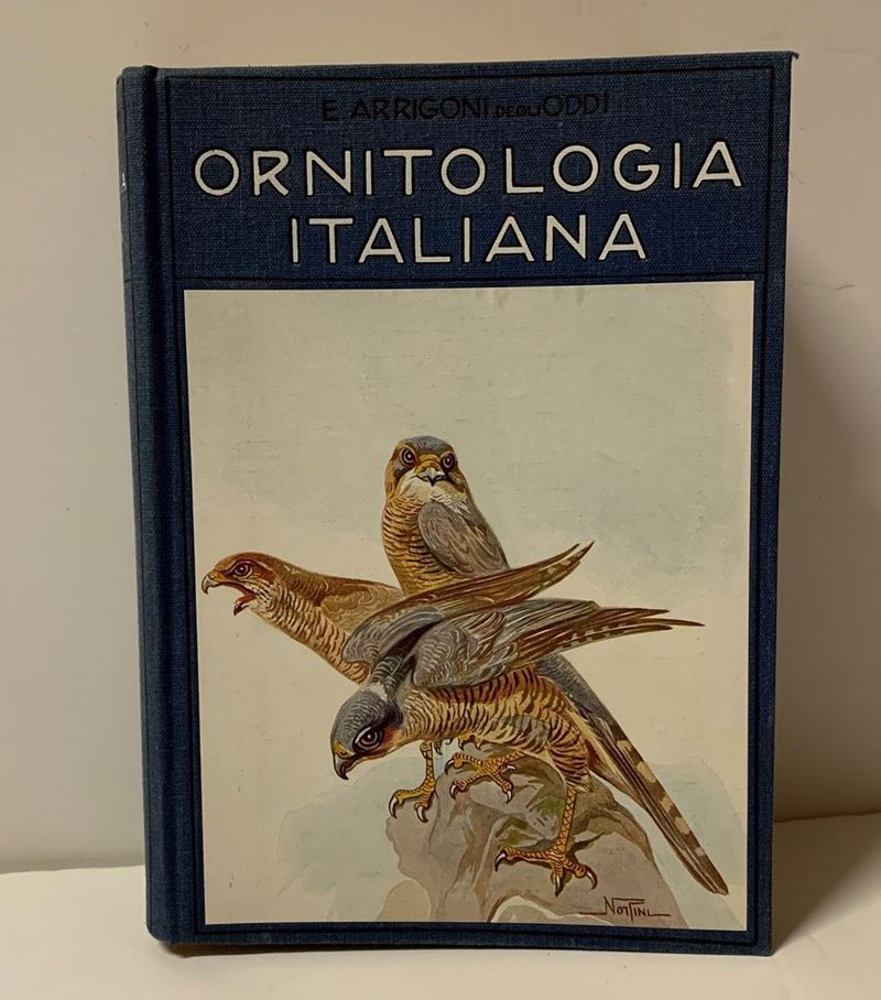 Ettore Arrigoni degli Oddi : Ornitologia italiana, Hoepli, Milano, 1929  - Auction Old and Rare Books. Envravings - Cambi Casa d'Aste
